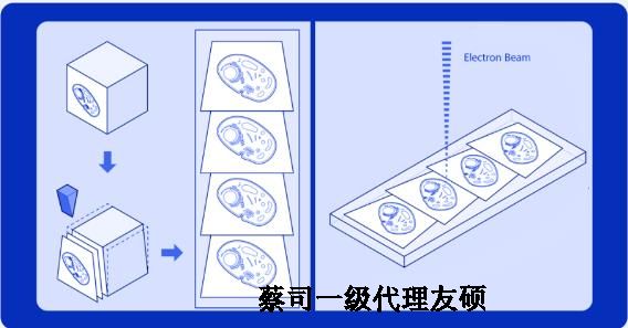 蔡司扫描电镜